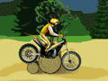 Stunt Dirt Bike